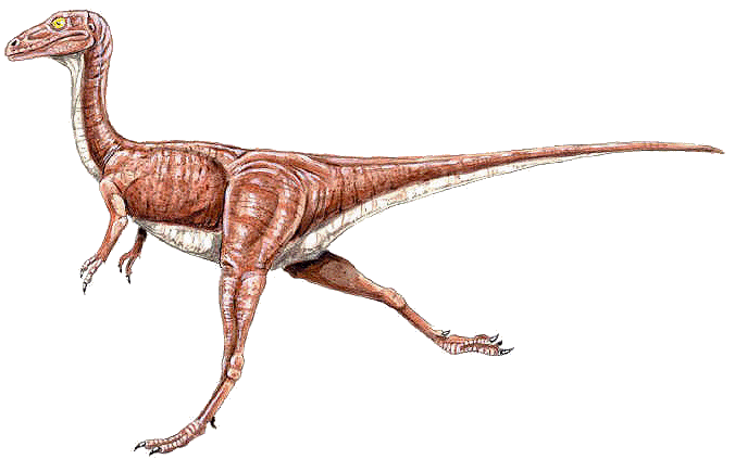 compsognathus feathers