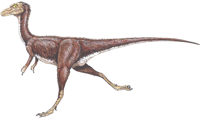 Compsognathus longipes - Compsognathidae dinosaur