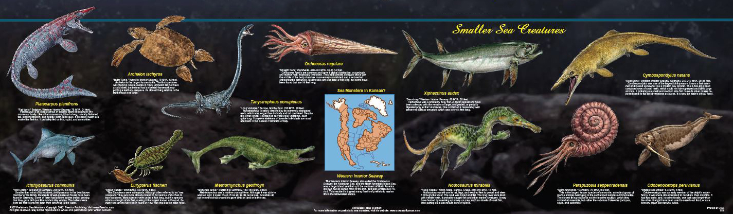 Small Prehistoric Sea Monsters