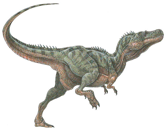 http://dinosaur-world.com/tyrannosaurs/images/alectrosaurus_olseni.gif