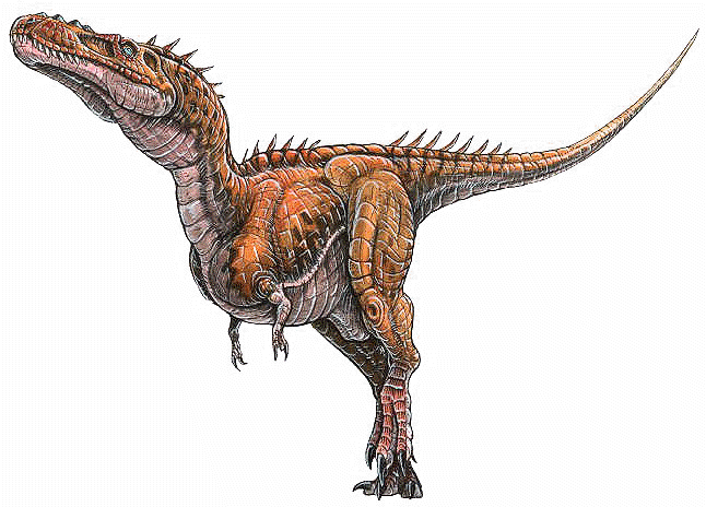 http://www.dinosaur-world.com/tyrannosaurs/images/alioramus_remotus.gif