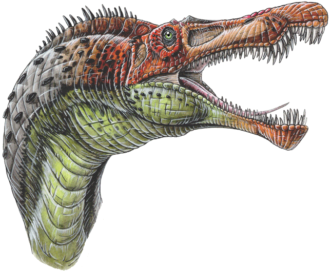 Baryonyx walkeri dinosaur